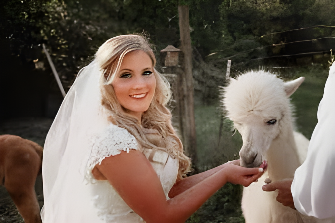 Blackberry Hill Alpaca Farm